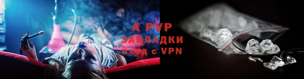 спиды Козельск