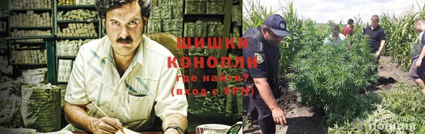 спиды Козельск