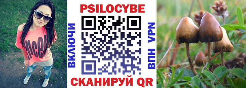 Купить где  Североморск  Галлюциногенные грибы мухоморы 